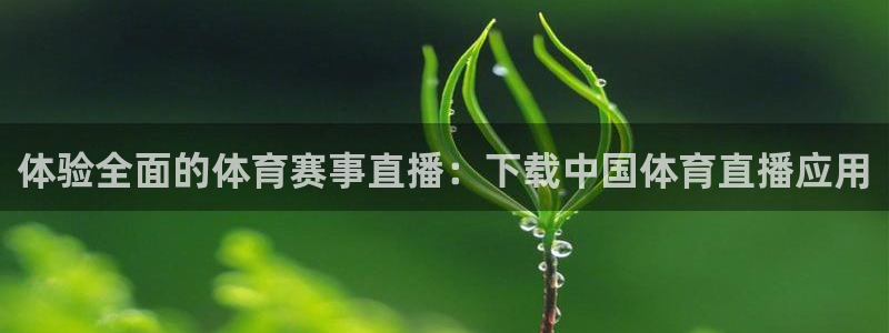 龙门飞甲播放：体验全面的体育赛事直播：下载中国体育直播应用