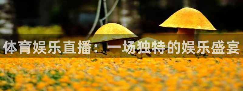 中超龙门直播：体育娱乐直播：一场独特的娱乐盛宴