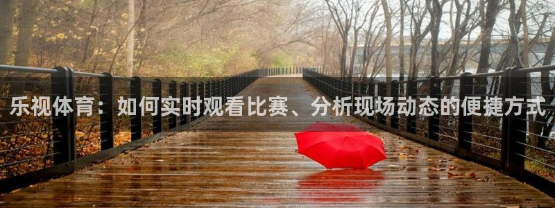 龙门直播足球：乐视体育：如何实时观看比赛、分析现场动态的便捷方式