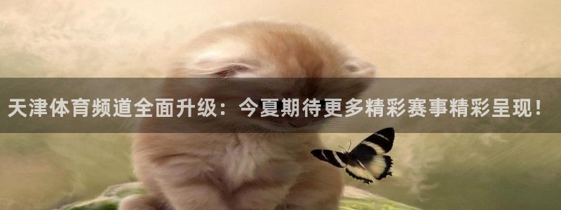 龙门镖局1.5在线观看免费完整版：天津体育频道全面升级：今夏期待更多精彩赛事精彩呈现！