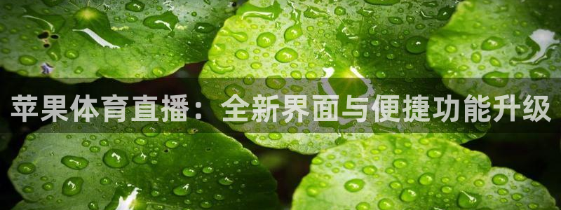 龙门直播app足球直播下载手机版：苹果体育直播：全新界面与便捷功能升级